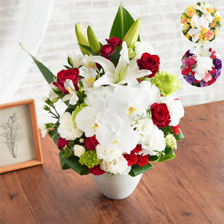 胡蝶蘭のセレブレートアレンジメント