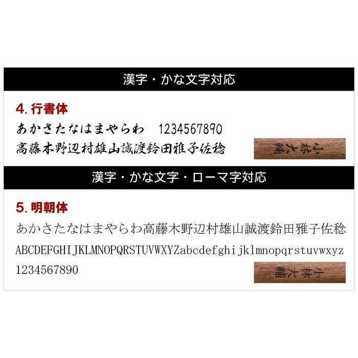PILOT CUSTOM パイロットカスタム槐(えんじゅ)