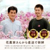 『椎名洋ラン園の選べるミディ胡蝶蘭』鉢植え