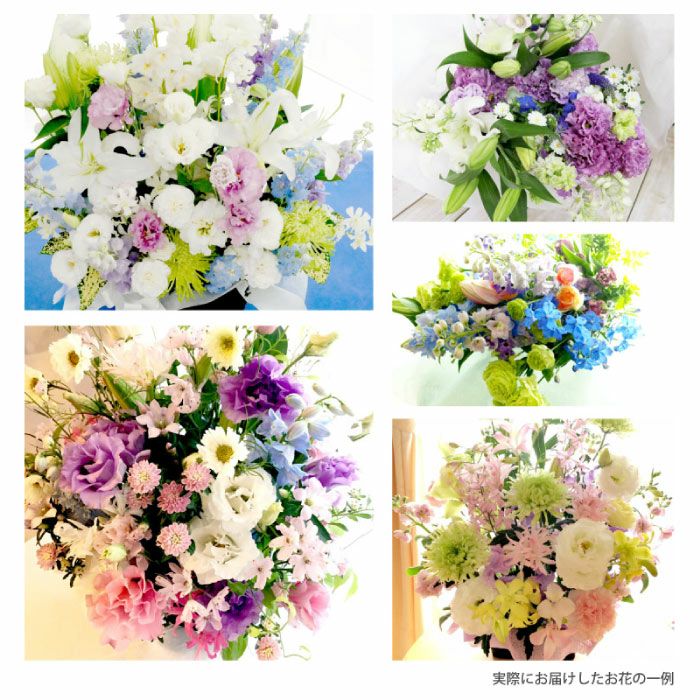 お花の定期便(月命日) 虹コース12ヶ月