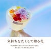 ペットちゃんの虹の橋 エールフラワー