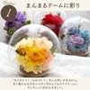 『彩りバブルドーム』 プリザーブドフラワー