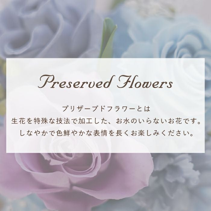『彩りバブルドーム』 プリザーブドフラワー