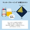 国産クラフトビールの定番飲み比べセット 6本セット