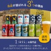 国産クラフトビールの定番飲み比べセット 12本セット