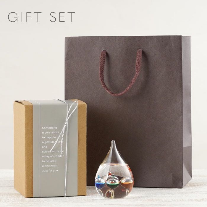 ガリレオ温度計 SSサイズ