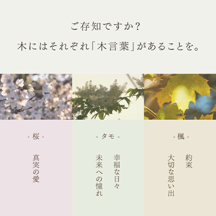 木言葉で選ぶ 木製ウェルカムボード