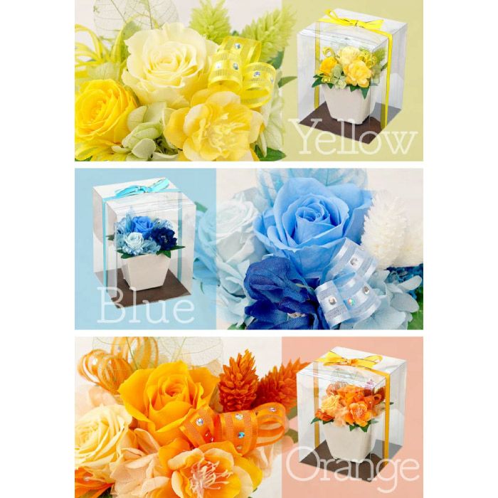 開店祝いプリザ