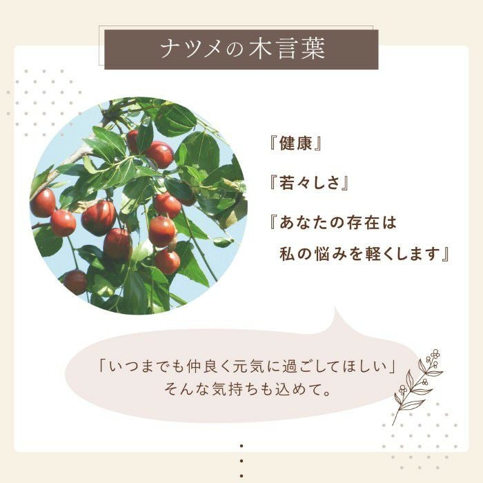 なつめのペアロックカップ